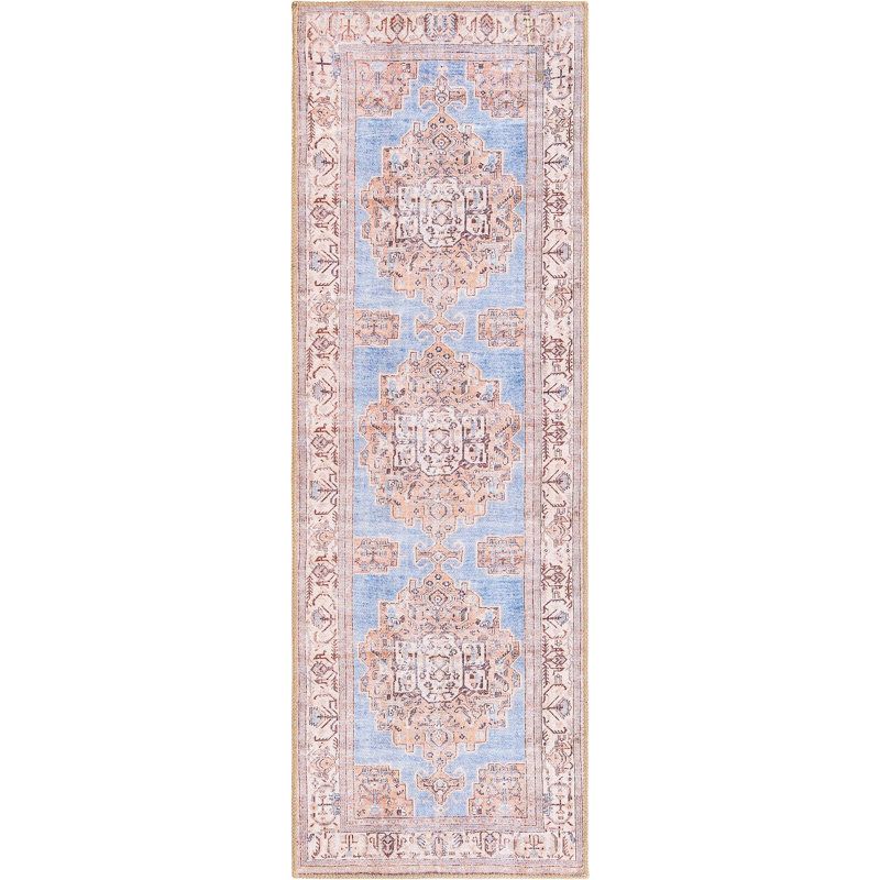 Mcclamma Chenille Oriental Indoor Rug, Runner 2' x 6'
