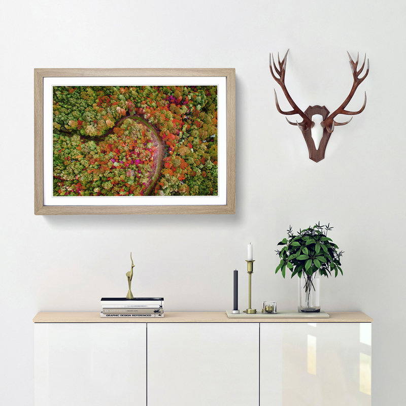 Road Through the Forest - Picture Frame Graphic Art Print, Oak, 40cm H x 60cm W x 2cm D