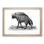 Striped Hyena in Black & White by George Shaw - Picture Frame Art Print-55615499-55615500