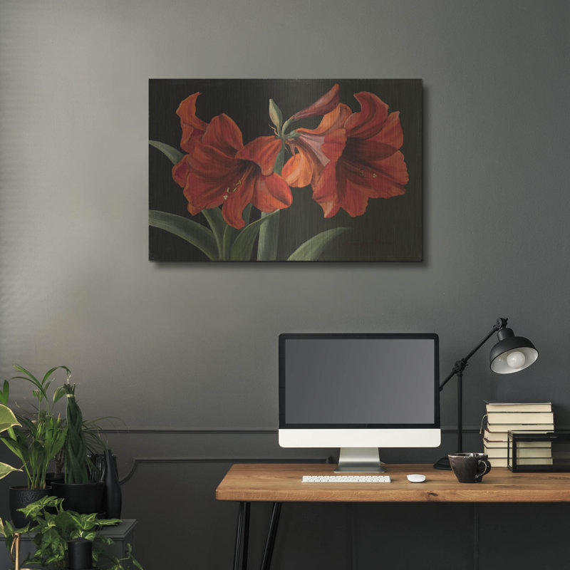'Amaryllis' by Christopher Pierce, Metal Wall Art, 24" H x 36" W