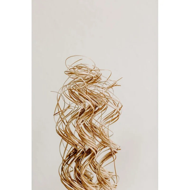 Curly Ting Bush