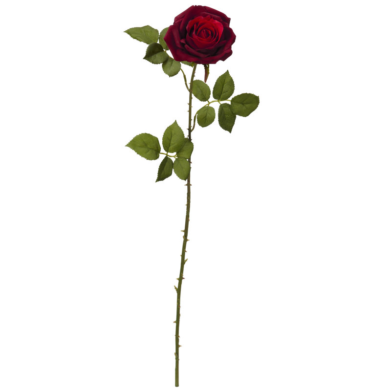Roses Arrangement