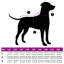 Pet Carrier-184380509-184380501