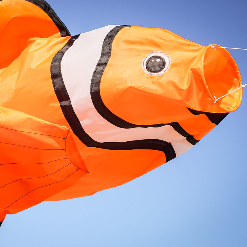 Manche à air Clownfish Big Breeze