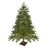 6.5' Pre-Lit LED North Pine Artificial Christmas Tree - Clear Lights