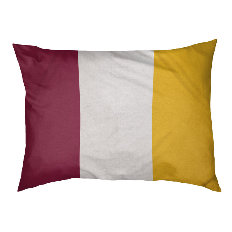 Coussin pour chien Arizona Tempe, Moyen (l 28 po x P 18 po x H 6 po), Marron / blanc / jaune