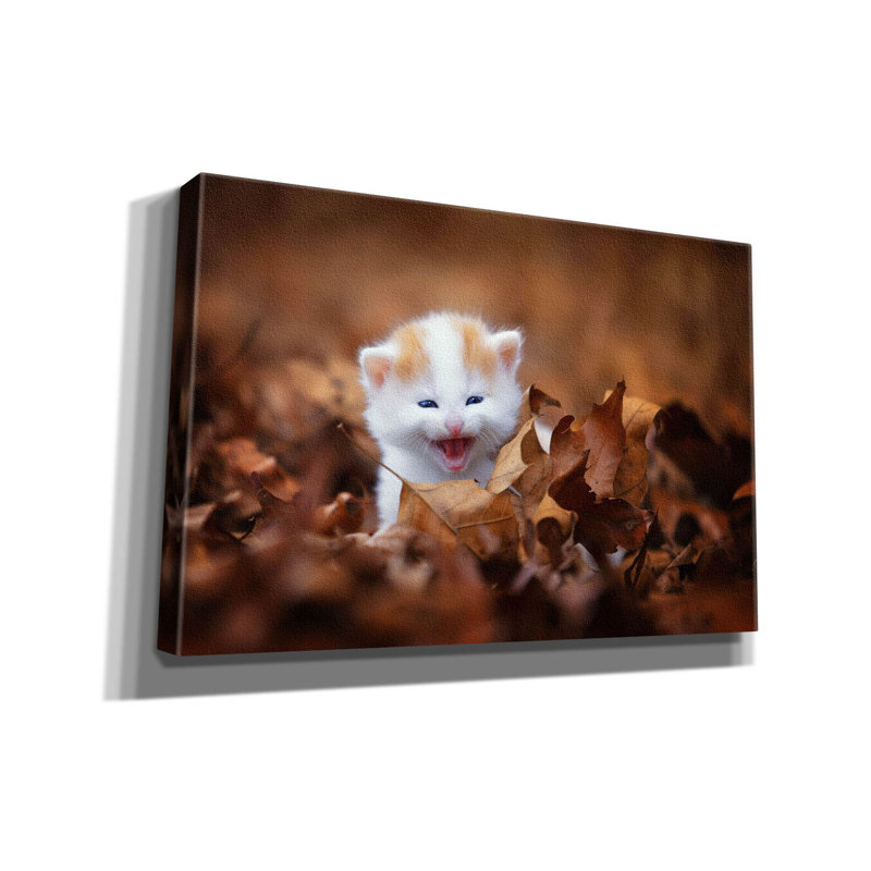 Sur toile, H 12 po x l 18 po x P 0,75 po
