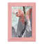 Tropic Parrot II encadré sur papier-1847621155-1847621180