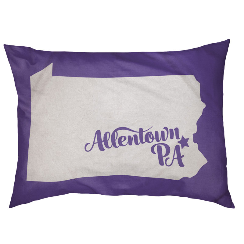 Coussin stylisé allentown de pennsylvanie, Moyen (L 30 po x l 40 po), Mauve
