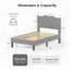 Structure de lit moderne tapissier