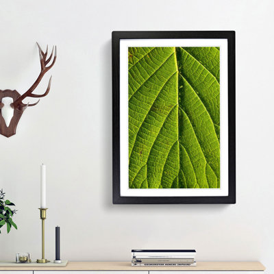 Leaf Pathways - Picture Frame Painting Print
