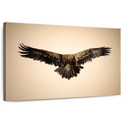 Brampt Soaring Tawny Eagle