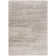 Audriaunna Shag Performance Rug