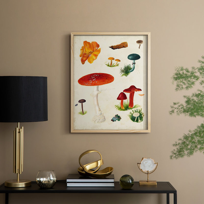 Reproduction encadrée champignon Mushroom Species
