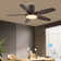 Laurenzia 122cm Ceiling Fan with LED Lights