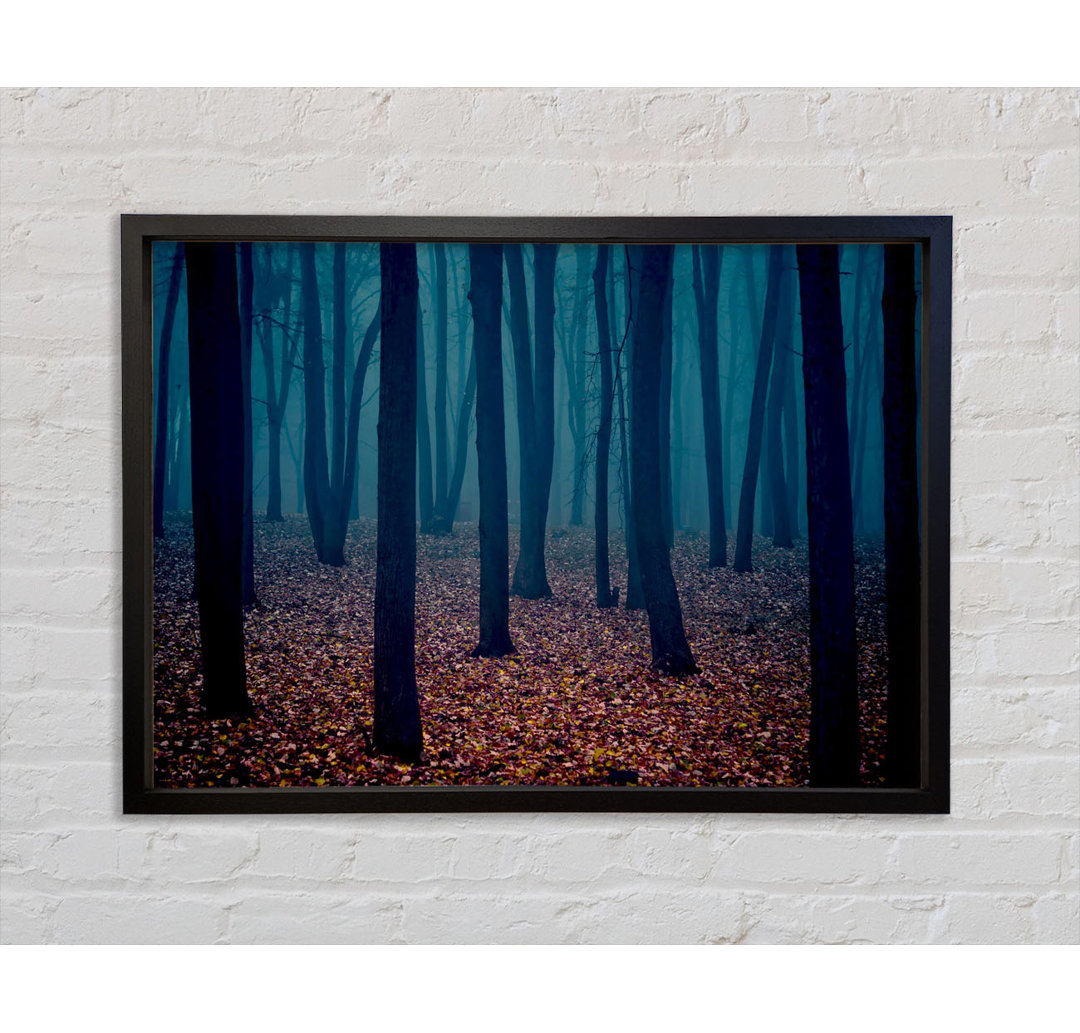 Dark Forest Mist - Einzelner Bilderrahmen Kunstdrucke auf Leinwand