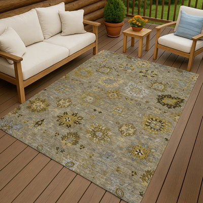 Machine Washable Indoor/Outdoor Efimenko ACN2289 Damask Rug