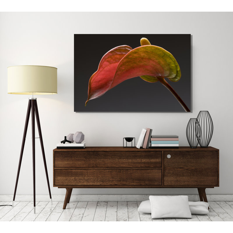 Anthurium 3 by Barry Siedman - Wrapped Canvas Painting, 30 cm H x 46 cm W x 4 cm D