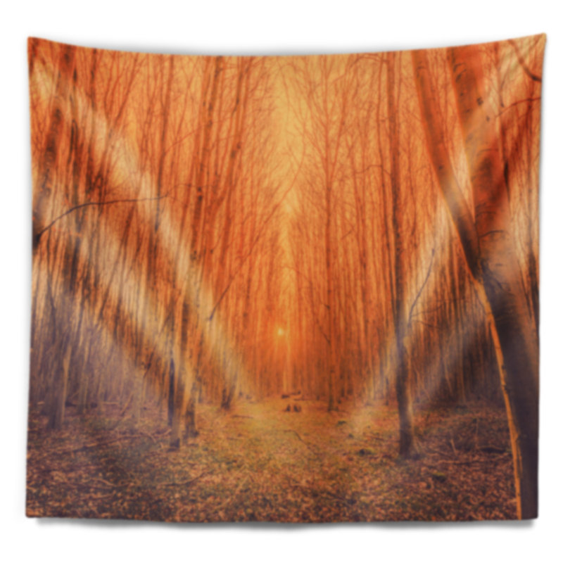 Tapisserie «Schafer Sunrise in a Forest», H 32 po x l 39 po