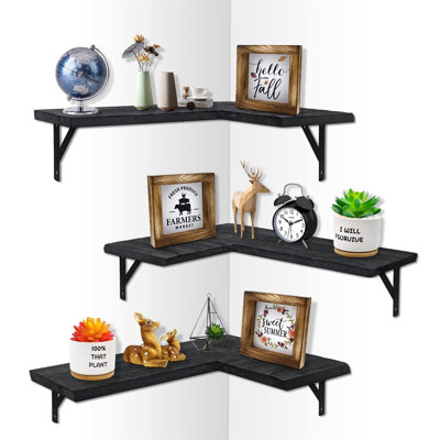 Bhudevi 3 Piece Floating Shelf