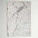 Aurora AU03 Solar Metallic Beige/Silver Area Rug