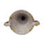 DELPHINE URN