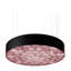 Spiro LED Chandelier-1671468303-1637370026-1671468298