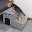 Escalier pour chien avec fenêtre