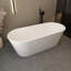 Baignoire de trempage autoportante en acrylique 67 po