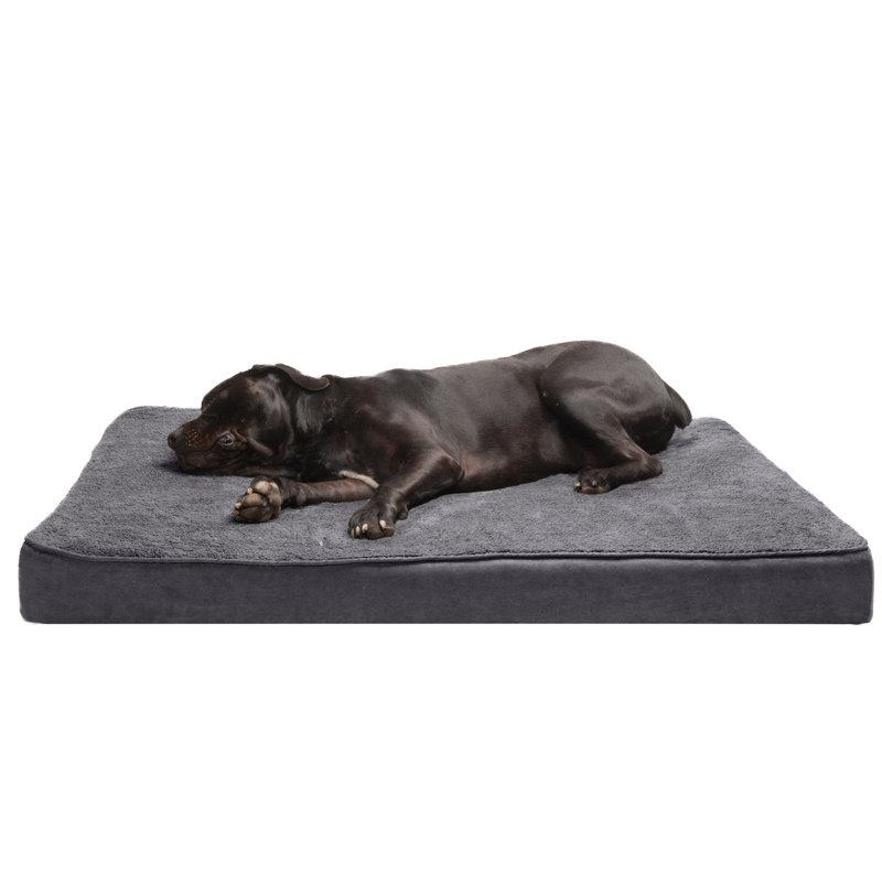 Snuggle Orthopedic Polyester Pet Bed, Grey, Jumbo Plus (53" W x 40" D x 5" H)