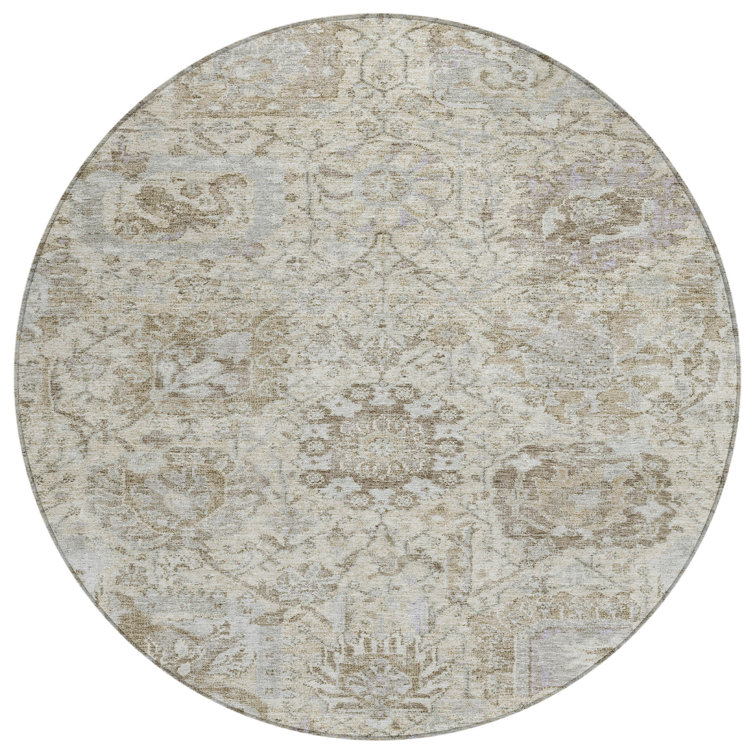Segin Area Rug