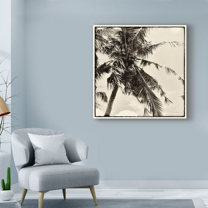 « palm tree sépia ii », reproduction de photo sur toile tendue, H 24 po x l 24 po x P 2 po