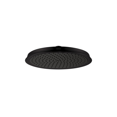 Pomme de douche Raindance C 240