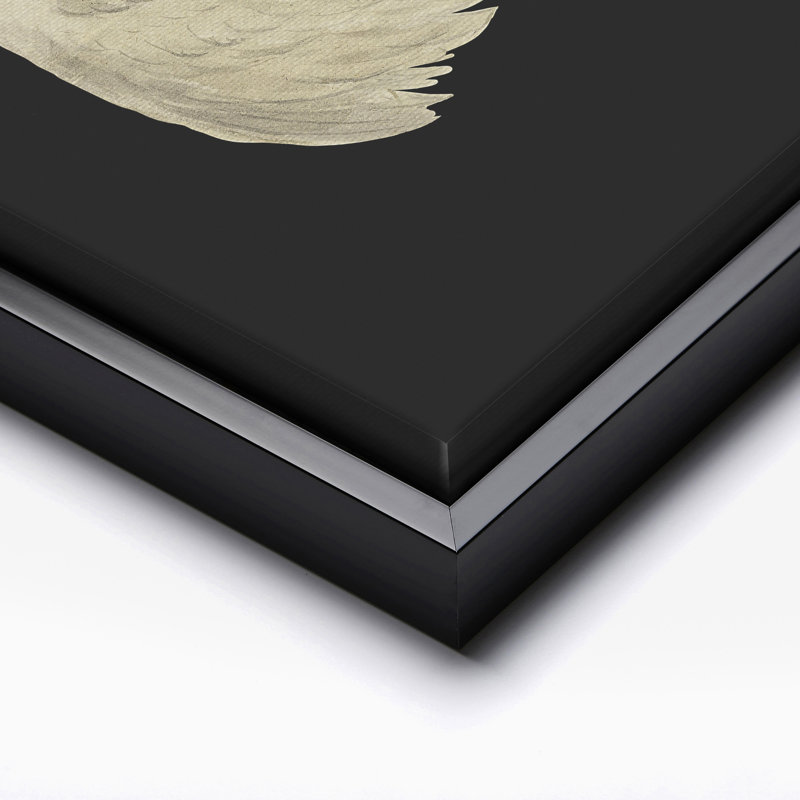 White Swan No1, Black Framed, Canvas, 11"H x 14"W