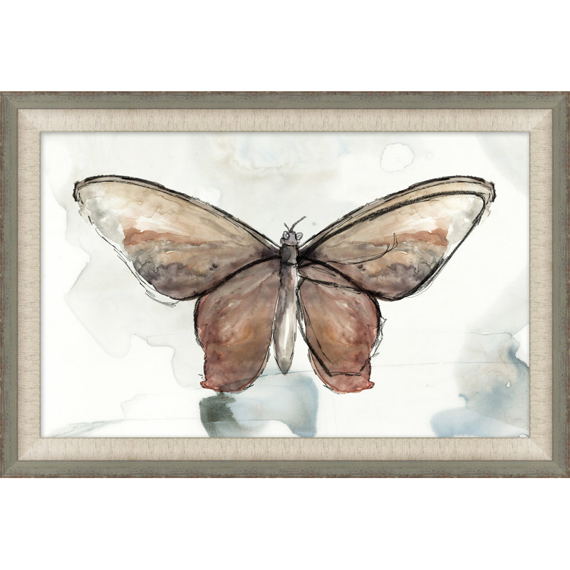 Painted Butterfly Diagram 4 Painting
