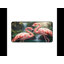 Polyester Desk Pad-2057468127