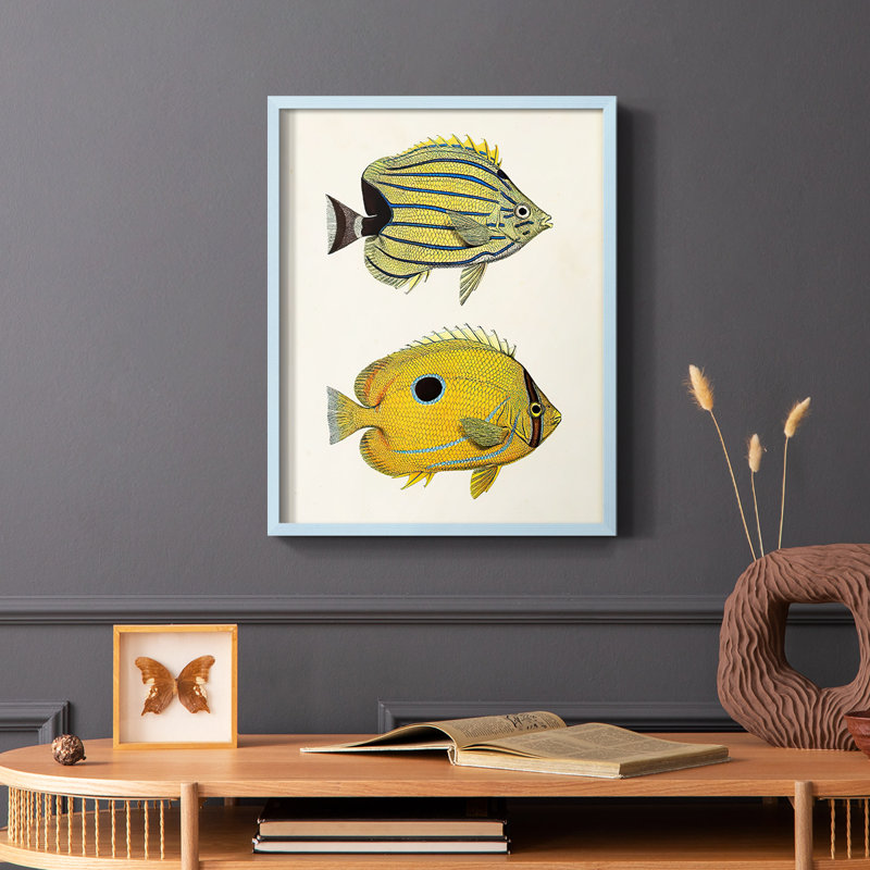 «Yellow & Gray Fish III», reproduction encadrée - bois massif, Bleu, H 10 po x l 8 po