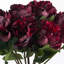Anastasija Arrangement-334670420-334670443