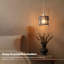 Lamp Shade-138056221-138056212