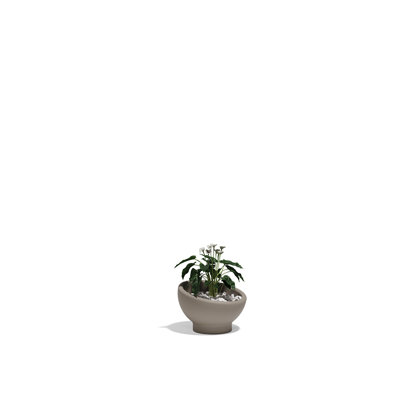 Luna Planter