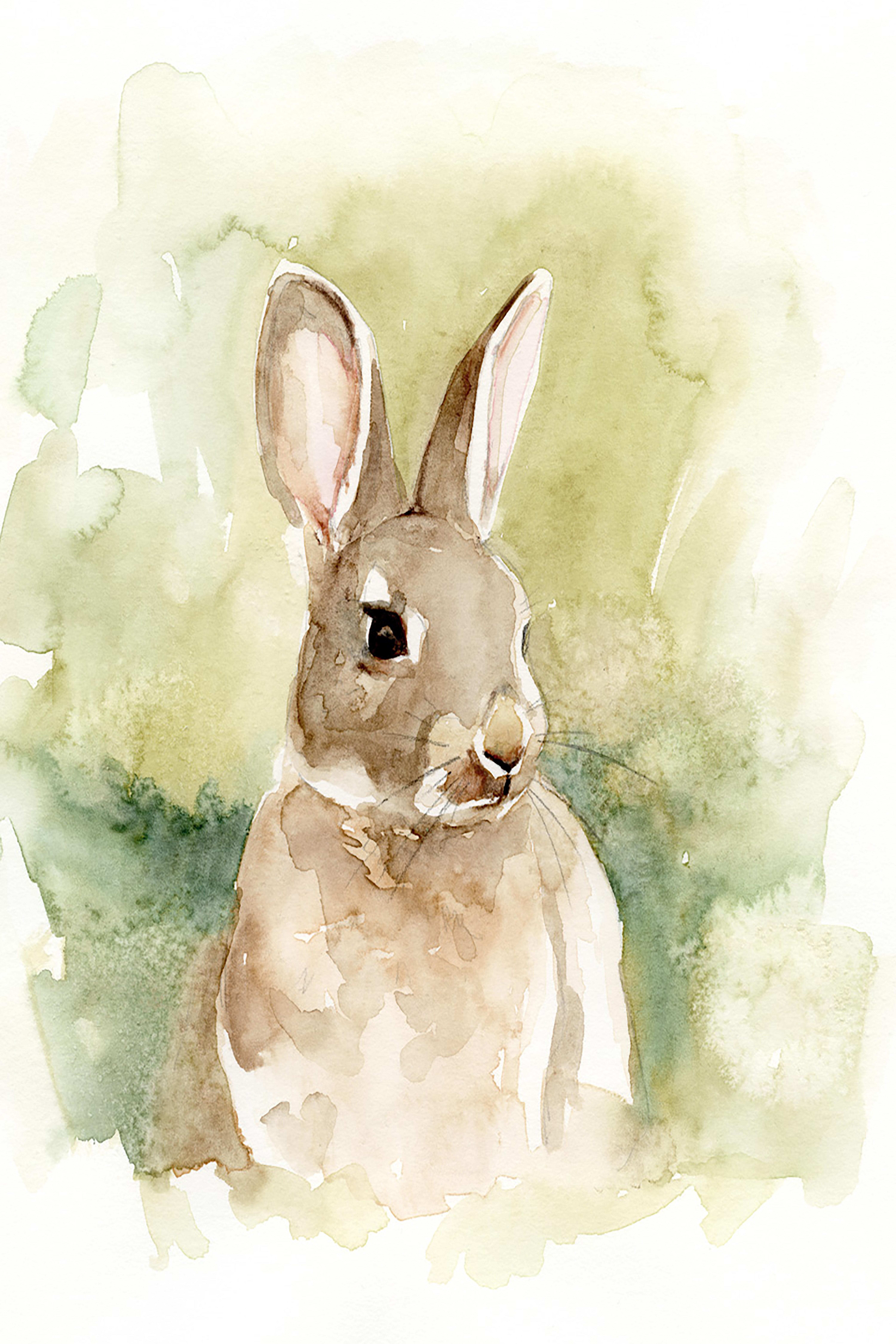 https://assets.wfcdn.com/im/09208971/compr-r85/1644/164487351/field-bunny-i-on-canvas-by-victoria-barnes-painting.jpg