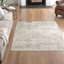 Braidwood Oriental Area Rug-23402410
