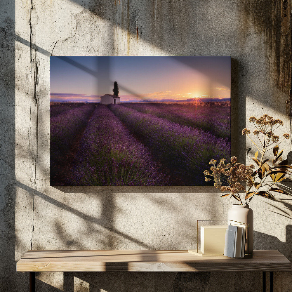 Fleur De Lis Living Provence Lavender Canvas Print | Wayfair.co.uk