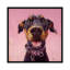 « follow your nez xii », impression sur toile-28450451-72453353-72453354