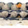 Gosnold Geometric Indoor Rug