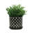 Ceramic Stoneware Saucer Planters with Drainage Hole - Set of 2-971444427