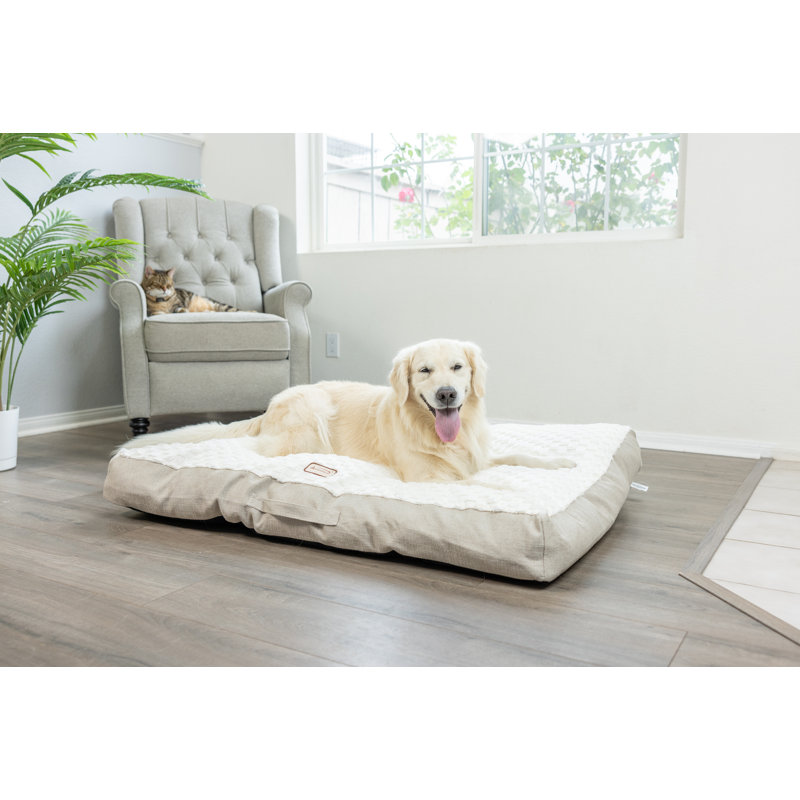 Tapis texturé pour chien avec poignée de transport, Très grand (l 36 po x P 50 po x H 9 po)