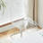 Clear+Silver Solid back side Chair(Set of 2)