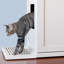 Litter Catch for the Refined Litter Box Enclosure-1019514809