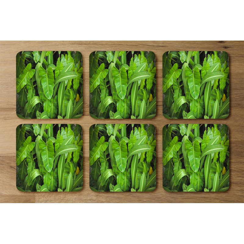Duain Square 6 Piece Coaster Set